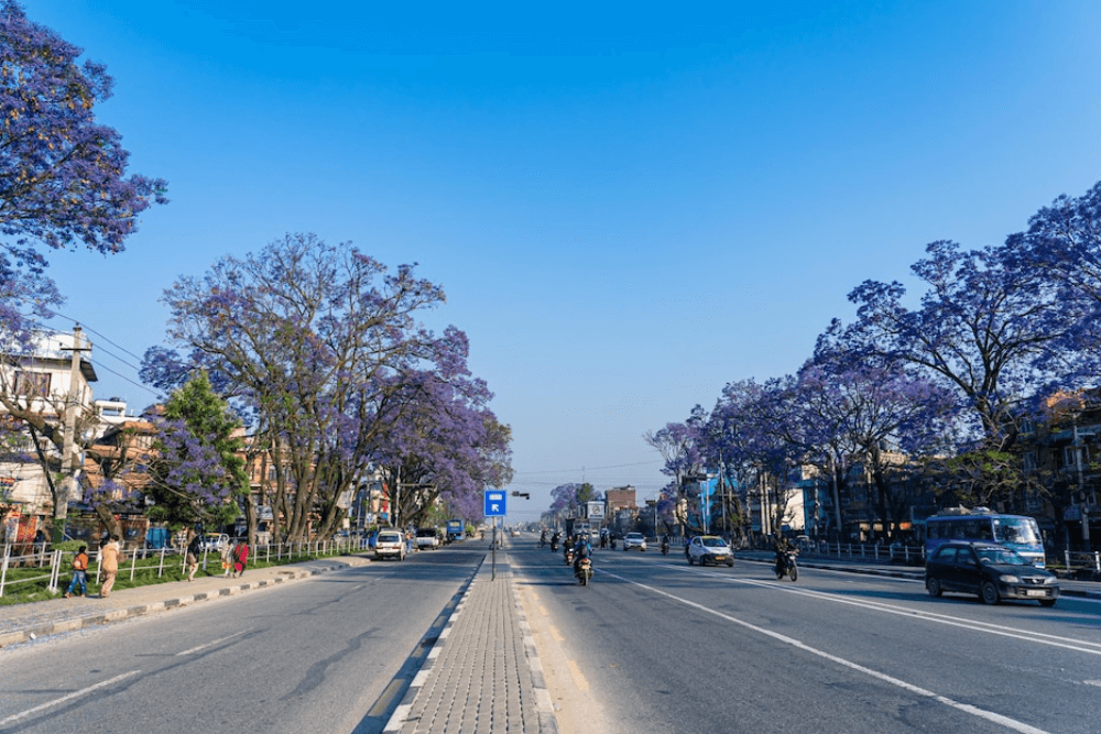 ABC Global Study Branches - New Baneshwor, Nepal